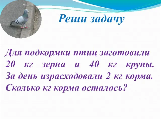 Реши задачу Для подкормки птиц заготовили 20 кг зерна и 40 кг