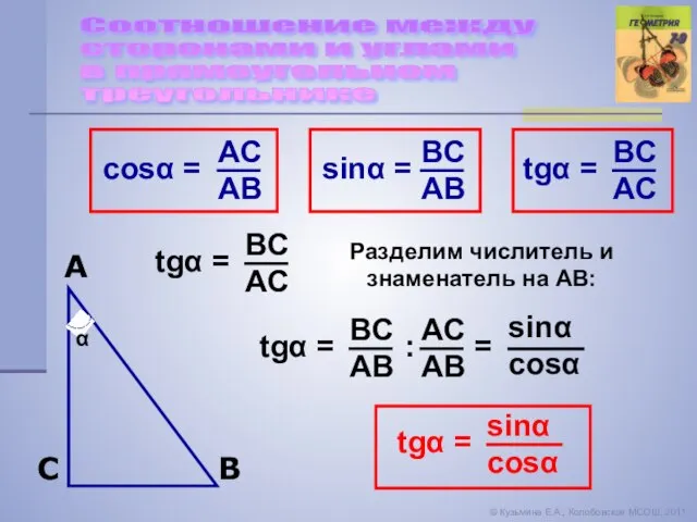 A B C α Соотношение между сторонами и углами в прямоугольном треугольнике