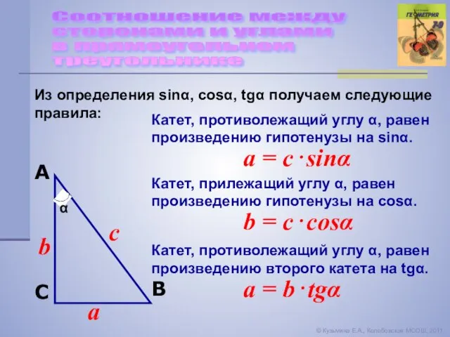 Соотношение между сторонами и углами в прямоугольном треугольнике © Кузьмина Е.А., Колобовская