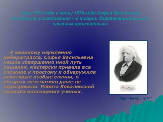 Зиму 1873 года и весну 1874 года Софья Васильевна посветила исследованию «