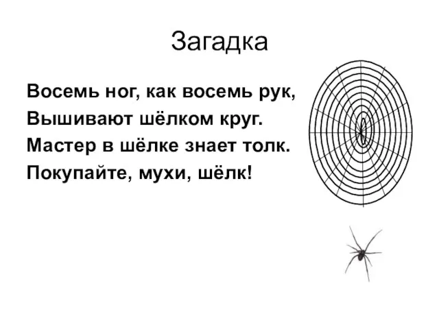 Загадка Восемь ног, как восемь рук, Вышивают шёлком круг. Мастер в шёлке