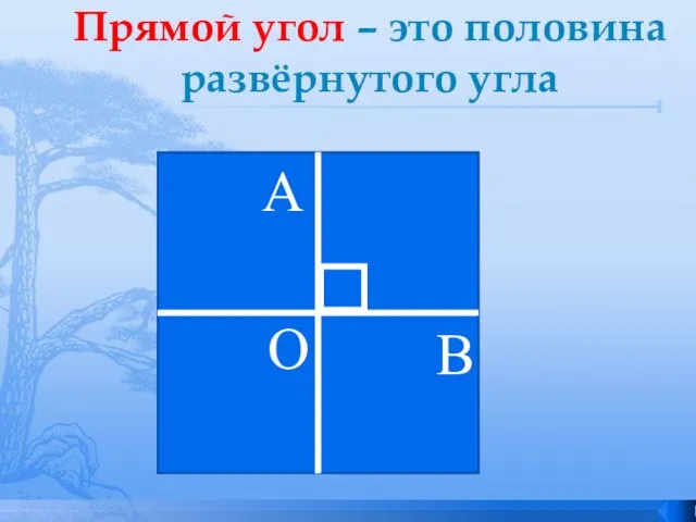 Прямой угол – это половина развёрнутого угла