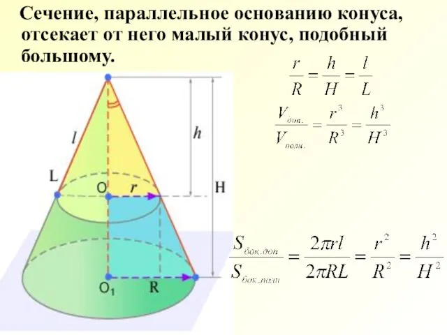 Сечение, параллельное основанию конуса, отсекает от него малый конус, подобный большому.