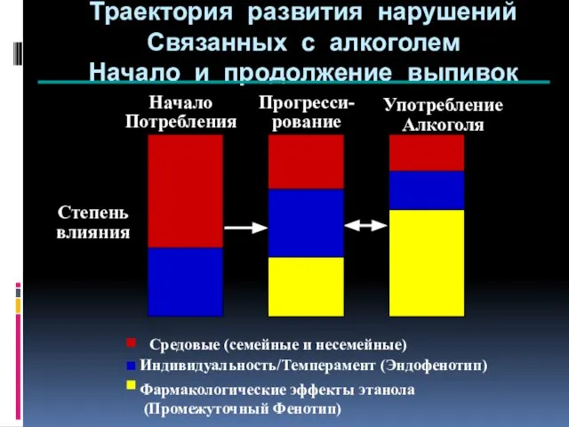 Степень влияния Начало Потребления Прогресси-рование Употребление Алкоголя Средовые (семейные и несемейные) Индивидуальность/Темперамент