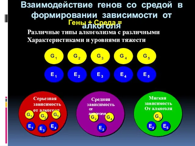 Взаимодействие генов со средой в формировании зависимости от алкоголя