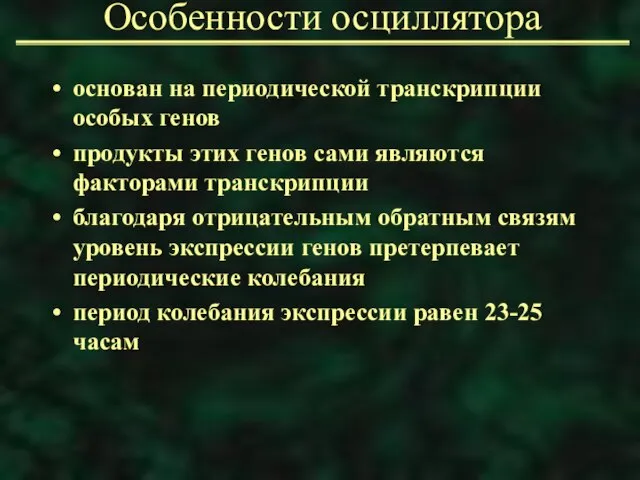 Особенности осциллятора основан на периодической транскрипции особых генов продукты этих генов сами