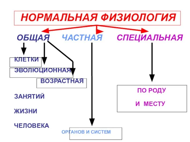 НОРМАЛЬНАЯ ФИЗИОЛОГИЯ ОБЩАЯ ЧАСТНАЯ СПЕЦИАЛЬНАЯ КЛЕТКИ ЭВОЛЮЦИОННАЯ ВОЗРАСТНАЯ ПО РОДУ ЗАНЯТИЙ И