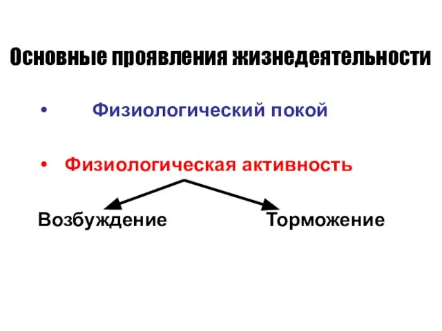 Основные проявления жизнедеятельности Физиологический покой Физиологическая активность Возбуждение Торможение