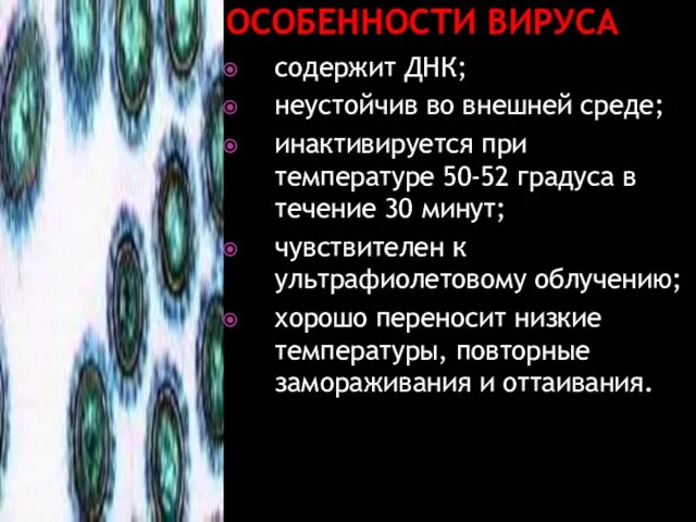 ОСОБЕННОСТИ ВИРУСА содержит ДНК; неустойчив во внешней среде; инактивируется при температуре 50-52