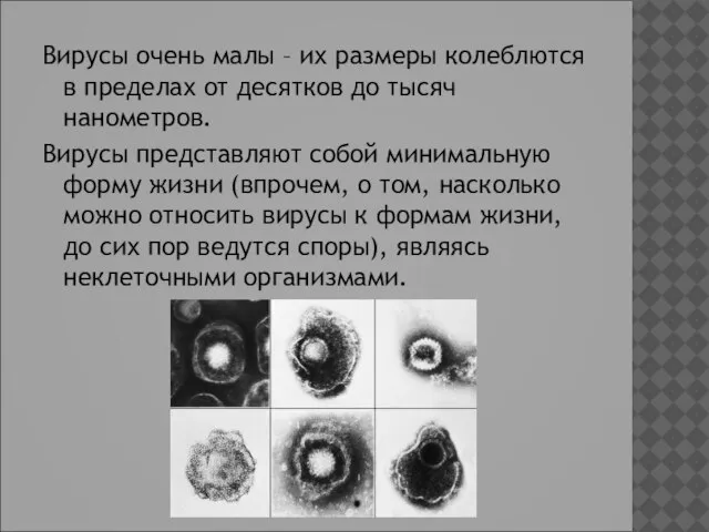 Вирусы очень малы – их размеры колеблются в пределах от десятков до