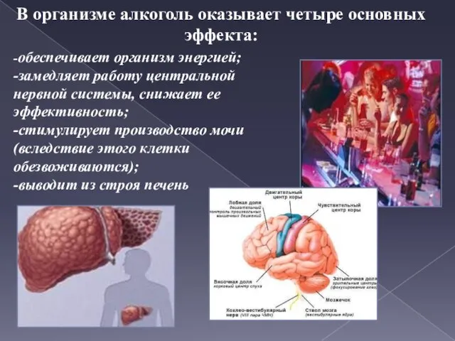 В организме алкоголь оказывает четыре основных эффекта: -обеспечивает организм энергией; -замедляет работу