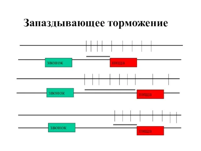 Запаздывающее торможение звонок пища пища пища звонок звонок