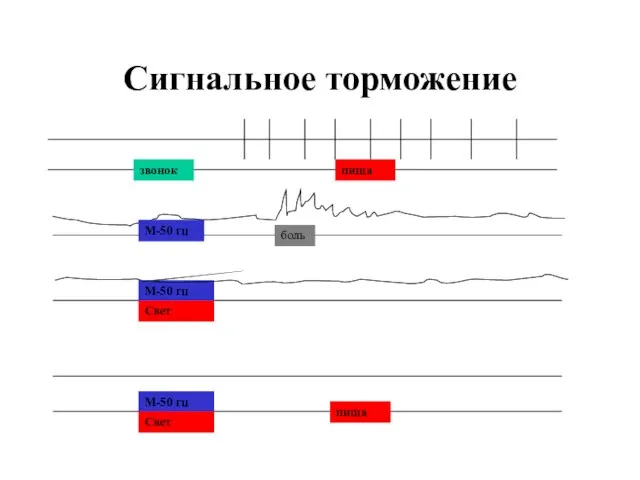 Сигнальное торможение