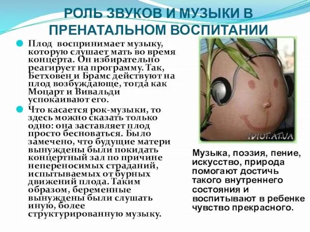 РОЛЬ ЗВУКОВ И МУЗЫКИ В ПРЕНАТАЛЬНОМ ВОСПИТАНИИ Плод воспринимает музыку, которую слушает