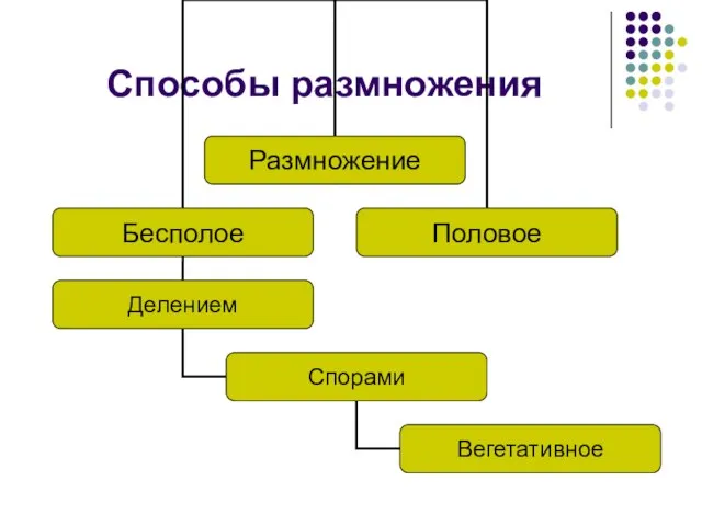 Способы размножения