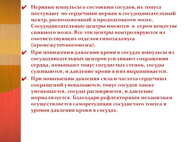 Нервные импульсы о состоянии сосудов, их тонуса поступают по сердечным нервам в