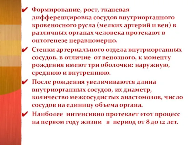 Формирование, рост, тканевая дифференцировка сосудов внутриорганного кровеносного русла (мелких артерий и вен)