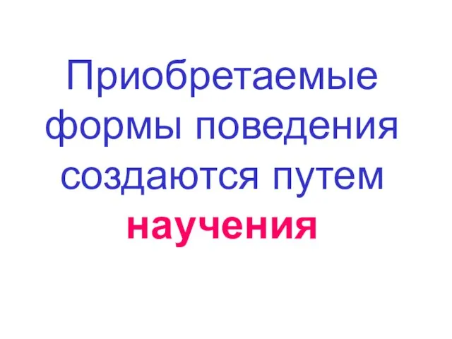 Приобретаемые формы поведения создаются путем научения