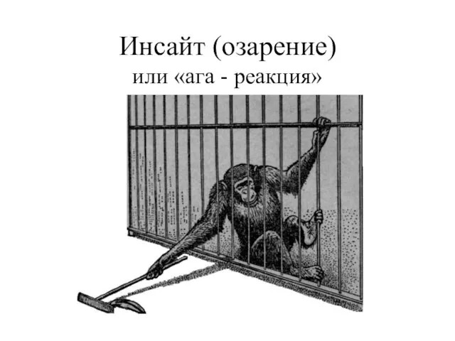 Инсайт (озарение) или «ага - реакция»