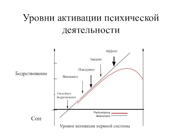 Уровни активации психической деятельности Эмоции Внимание Спокойное бодрствование Сон Уровни активации нервной системы Поведение Аффект Бодрствование