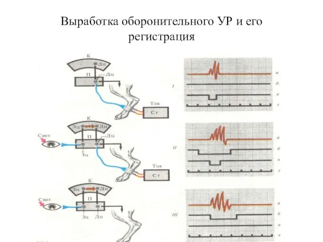 Выработка оборонительного УР и его регистрация