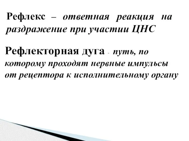 Рефлекс – ответная реакция на раздражение при участии ЦНС Рефлекторная дуга -