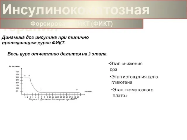 Динамика доз инсулина при типично протекающем курсе ФИКТ. Весь курс отчетливо делится