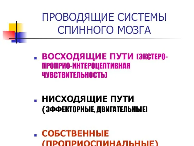 ПРОВОДЯЩИЕ СИСТЕМЫ СПИННОГО МОЗГА ВОСХОДЯЩИЕ ПУТИ (ЭКСТЕРО- ПРОПРИО-ИНТЕРОЦЕПТИВНАЯ ЧУВСТВИТЕЛЬНОСТЬ) НИСХОДЯЩИЕ ПУТИ (ЭФФЕКТОРНЫЕ,