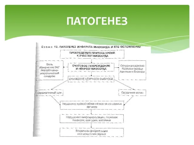 ПАТОГЕНЕЗ