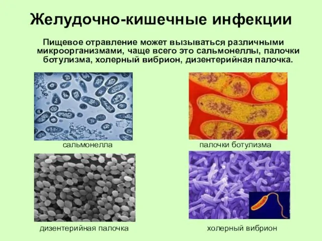 Желудочно-кишечные инфекции Пищевое отравление может вызываться различными микроорганизмами, чаще всего это сальмонеллы,