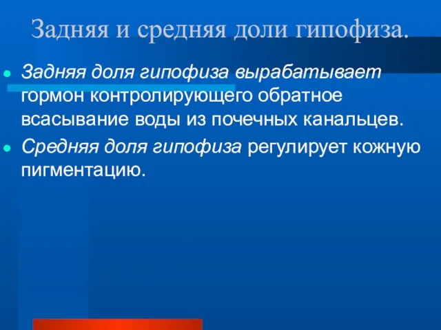 Задняя и средняя доли гипофиза. Задняя доля гипофиза вырабатывает гормон контролирующего обратное