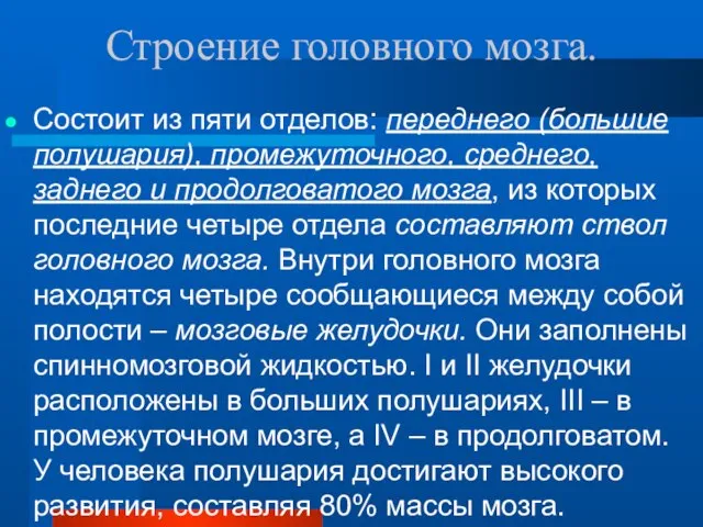 Строение головного мозга. Состоит из пяти отделов: переднего (большие полушария), промежуточного, среднего,