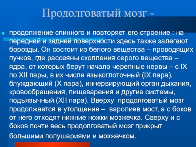 Продолговатый мозг - продолжение спинного и повторяет его строение : на передней