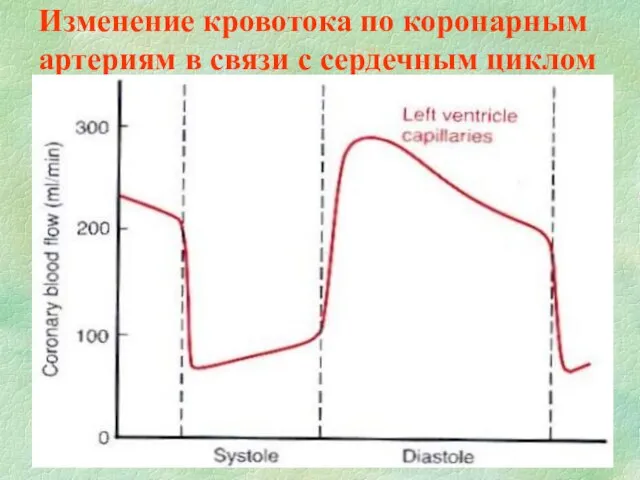 Изменение кровотока по коронарным артериям в связи с сердечным циклом