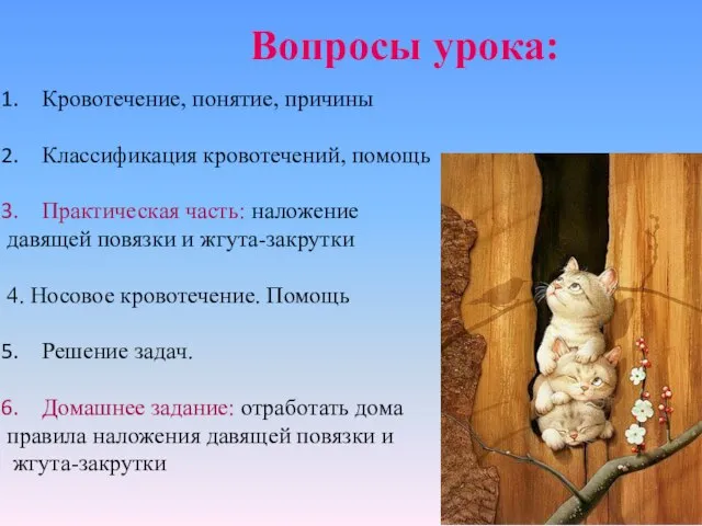 Вопросы урока: Кровотечение, понятие, причины Классификация кровотечений, помощь Практическая часть: наложение давящей