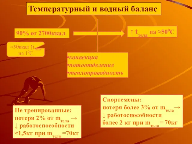 Температурный и водный баланс ↑ tтела на ≈500С ≈50ккал ↑tтела на 10С