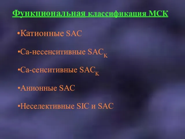 Функциональная классификация МСК Катионные SAC Ca-несенситивные SACK Ca-сенситивные SACK Анионные SAC Неселективные SIC и SAC