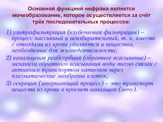 Основной функцией нефрона является мочеобразование, которое осуществляется за счёт трёх последовательных процессов: