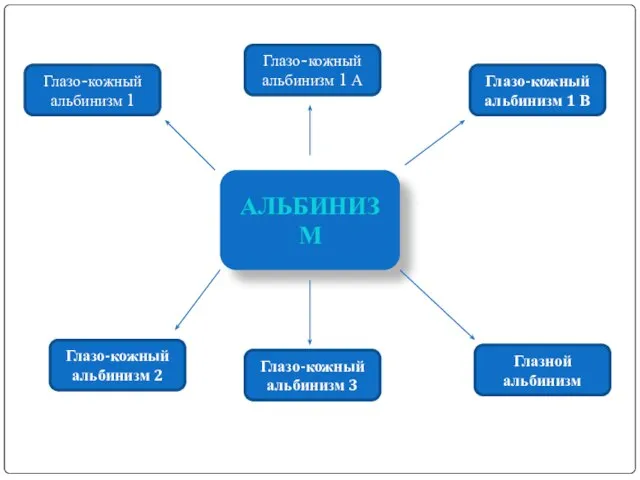 АЛЬБИНИЗМ Глазо-кожный альбинизм 2 Глазо-кожный альбинизм 3 Глазной альбинизм Глазо-кожный альбинизм 1