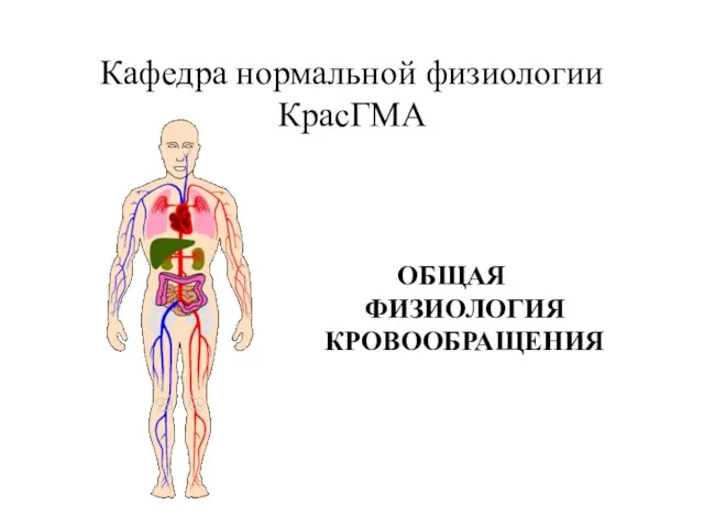 Презентация на тему Общая физиология кровообращения