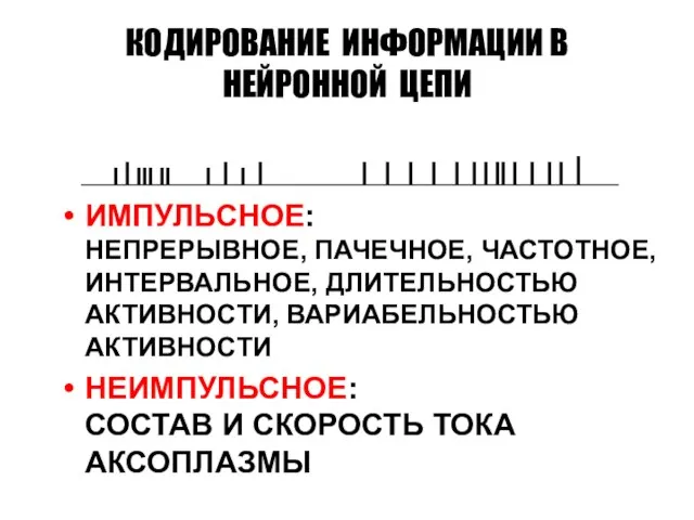 КОДИРОВАНИЕ ИНФОРМАЦИИ В НЕЙРОННОЙ ЦЕПИ ИМПУЛЬСНОЕ: НЕПРЕРЫВНОЕ, ПАЧЕЧНОЕ, ЧАСТОТНОЕ, ИНТЕРВАЛЬНОЕ, ДЛИТЕЛЬНОСТЬЮ АКТИВНОСТИ,