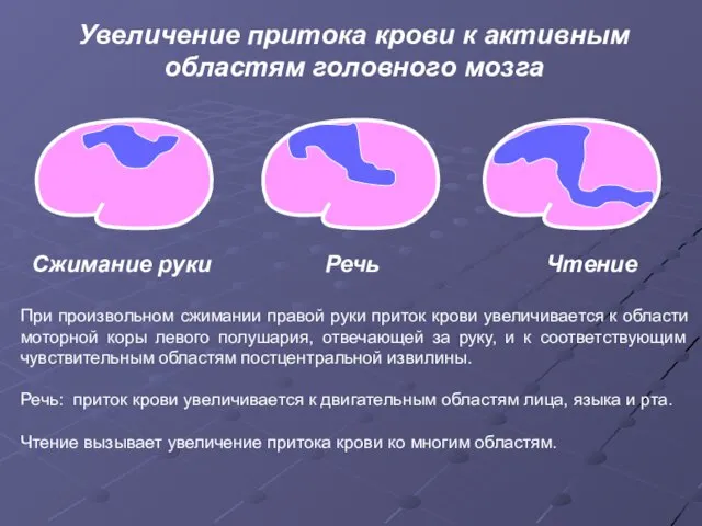 Сжимание руки Речь Чтение Увеличение притока крови к активным областям головного мозга