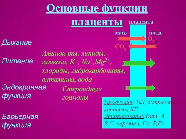 Основные функции плаценты Барьерная функция плод мать Депонирование:Вит. А, В,С, каротин, Са,