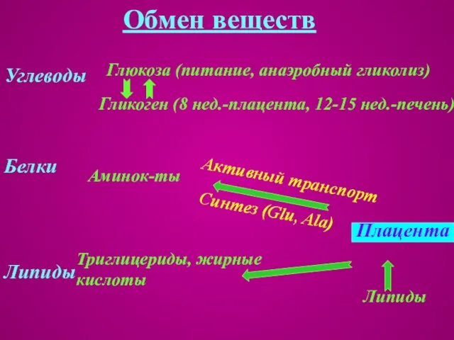 Обмен веществ