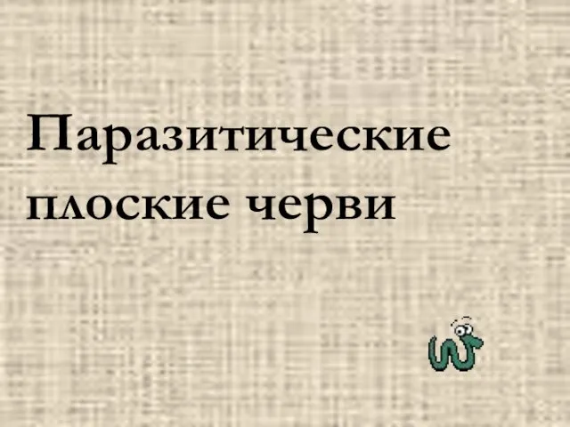 Презентация на тему Паразитические плоские черви