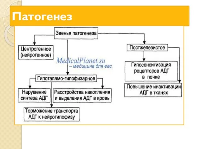 Патогенез