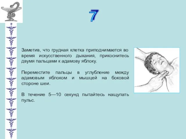 7 Заметив, что грудная клетка приподнимается во время искусственного дыхания, прикоснитесь двумя