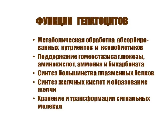 ФУНКЦИИ ГЕПАТОЦИТОВ Метаболическая обработка абсорбиро-ванных нутриентов и ксенобиотиков Поддержание гомеостазиса глюкозы, аминокислот,