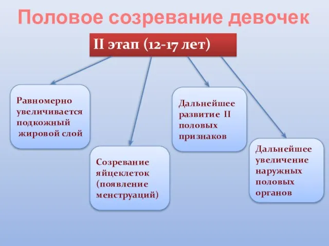 Половое созревание девочек II этап (12-17 лет) Равномерно увеличивается подкожный жировой слой