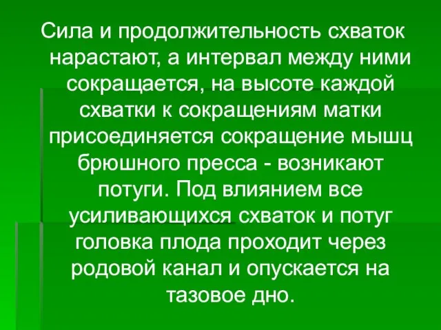 Сила и продолжительность схваток нарастают, а интервал между ними сокращается, на высоте